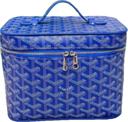  GOYARD Vanity Case, schoon gefotografeerd.