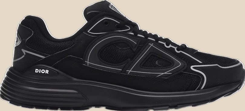 DIOR Shoes (4+ Colorways) — QC