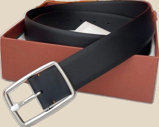 LORO PIANA Belt (10+ colorways) — QC