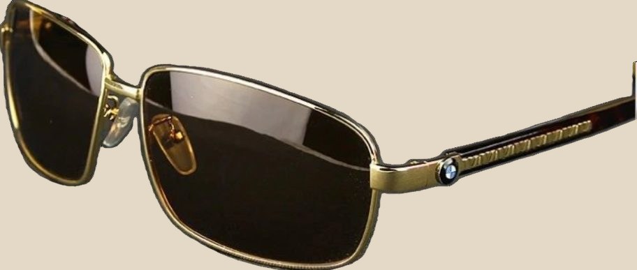 BMW Sunglasses — QC