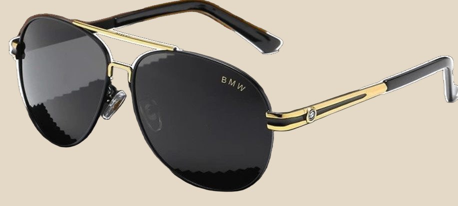 BALMAIN Sunglasses — QC