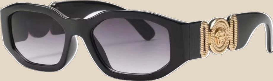VERSACE Sunglasses — QC
