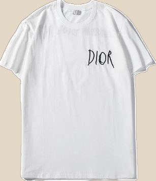 DIOR T-Shirt (2 colorways) — QC