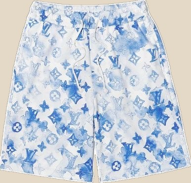 LOUIS VUITTON Swimming Trunks — QC