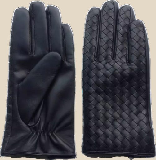 BOTTEGA VENETA Gloves (2+ colorways) — QC