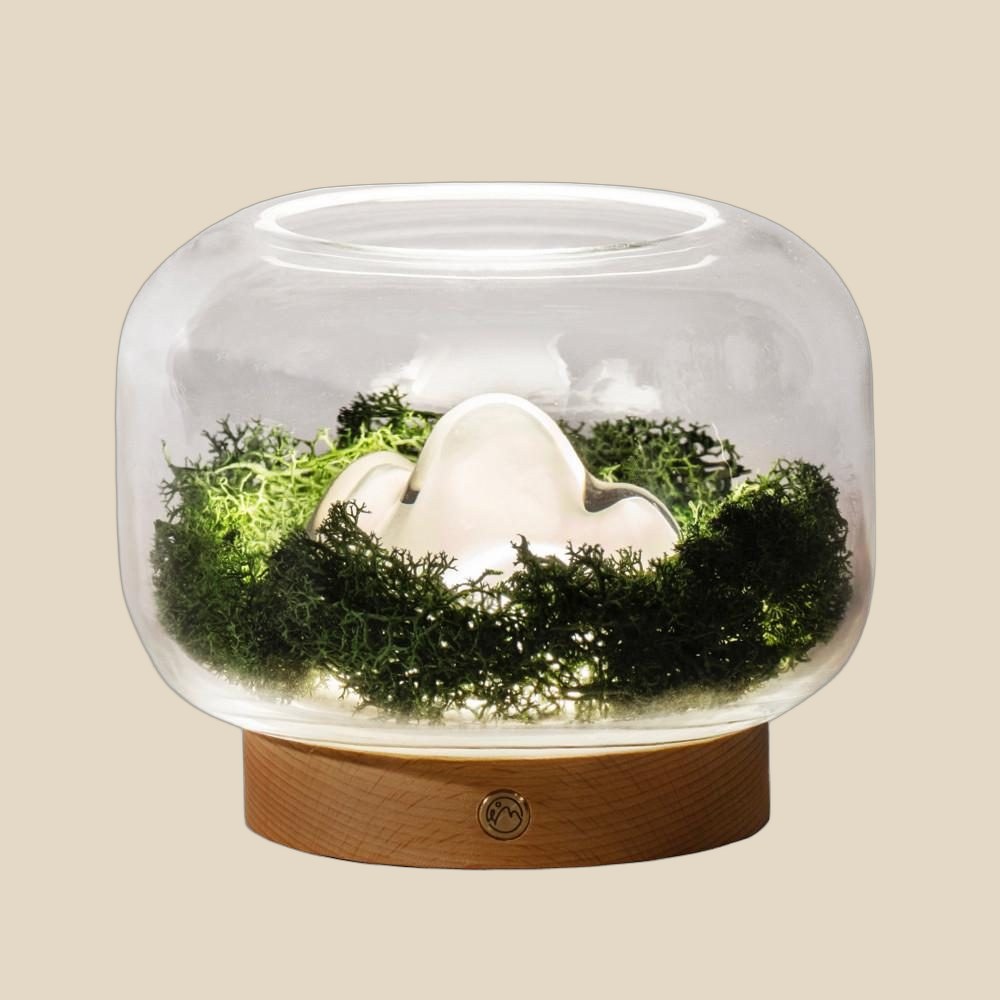 Moss Terrarium Dome Lamp — QC